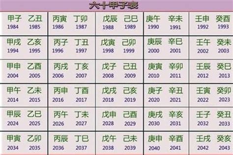 2023 五行年|2023年出生五行属什么的 是什么命